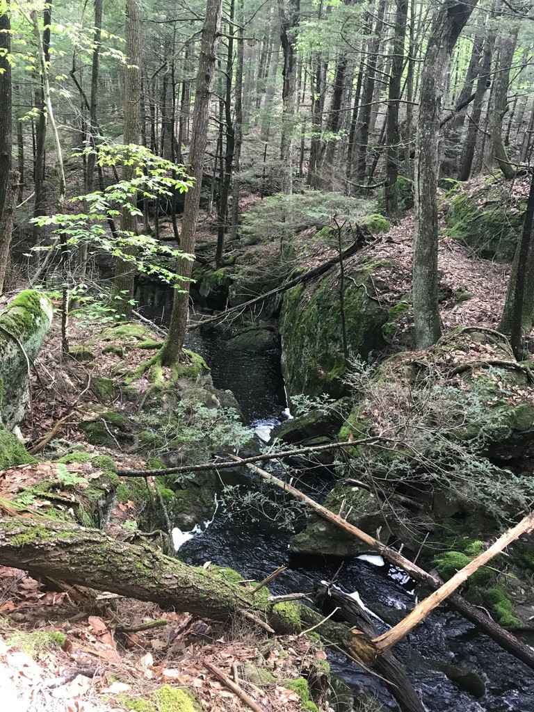 Scott New England Trail (CT, MA) 20190531 Fastest